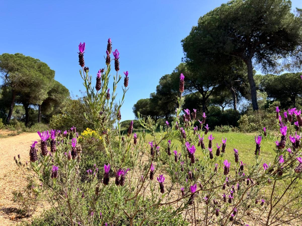 Villa De La Luz Luxury Guesthouse El Portil Kültér fotó